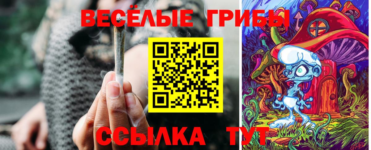 Грозный  Псилоцибиновые грибы MAGIC MUSHROOMS  как найти закладки  Вход с VPN 