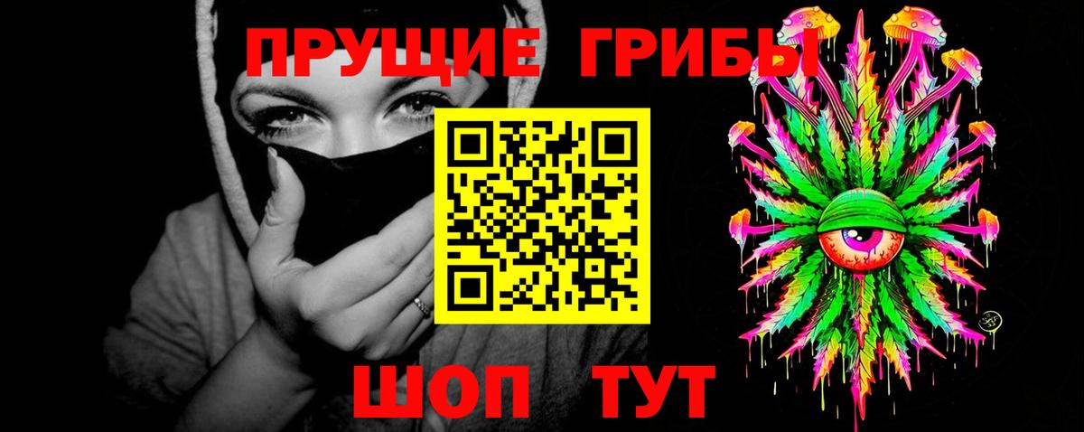 Галлюциногенные грибы Cubensis Грозный